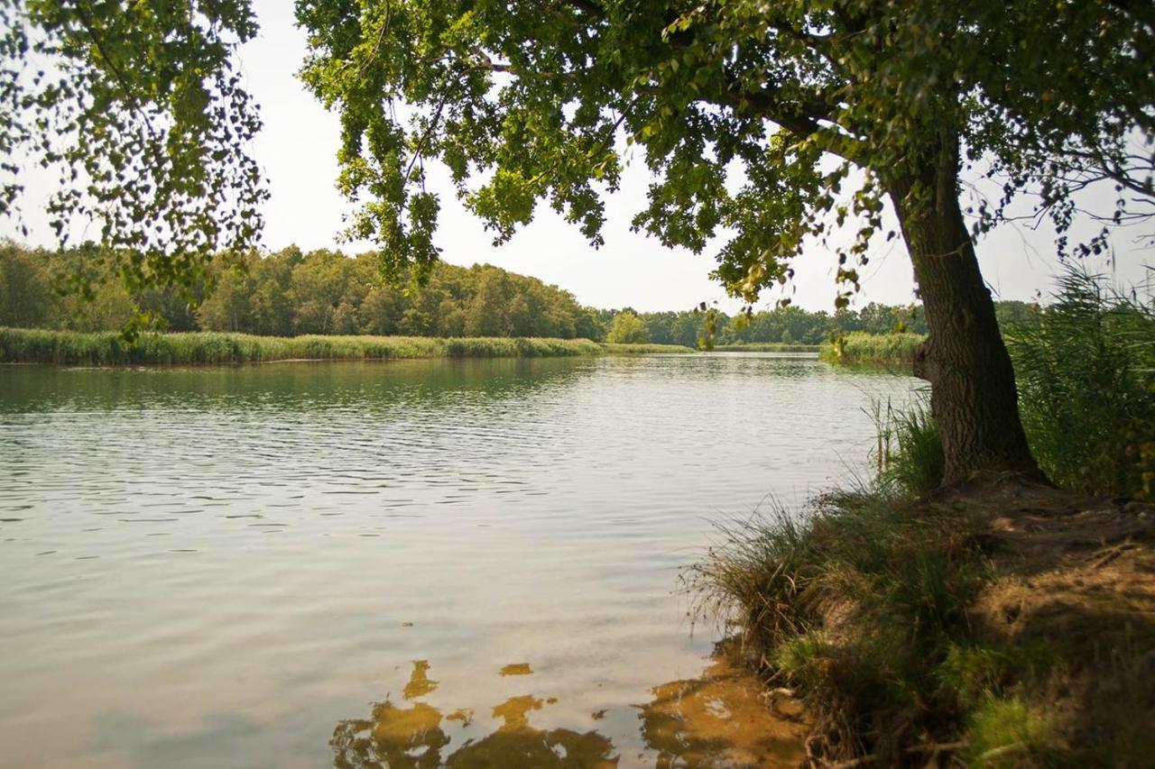 Hospoda-Ferienhaus Am Olba-See Malschwitz Luaran gambar